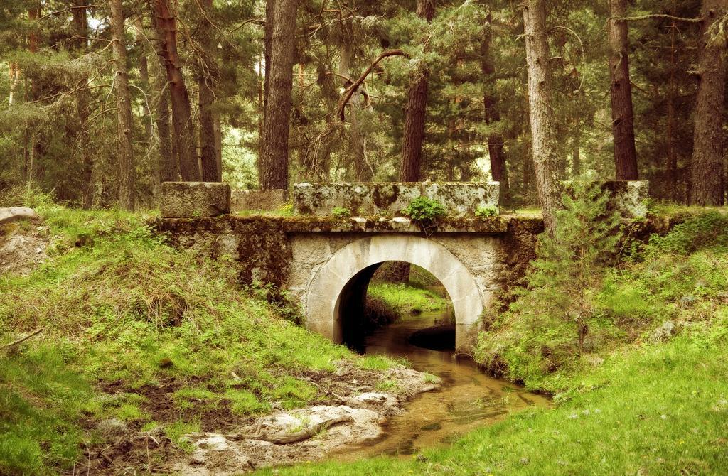Casa Rural La Vereilla Barajas de Gredos Bagian luar foto
