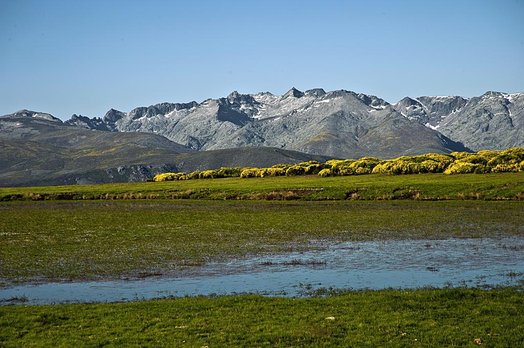 Casa Rural La Vereilla Barajas de Gredos Bagian luar foto