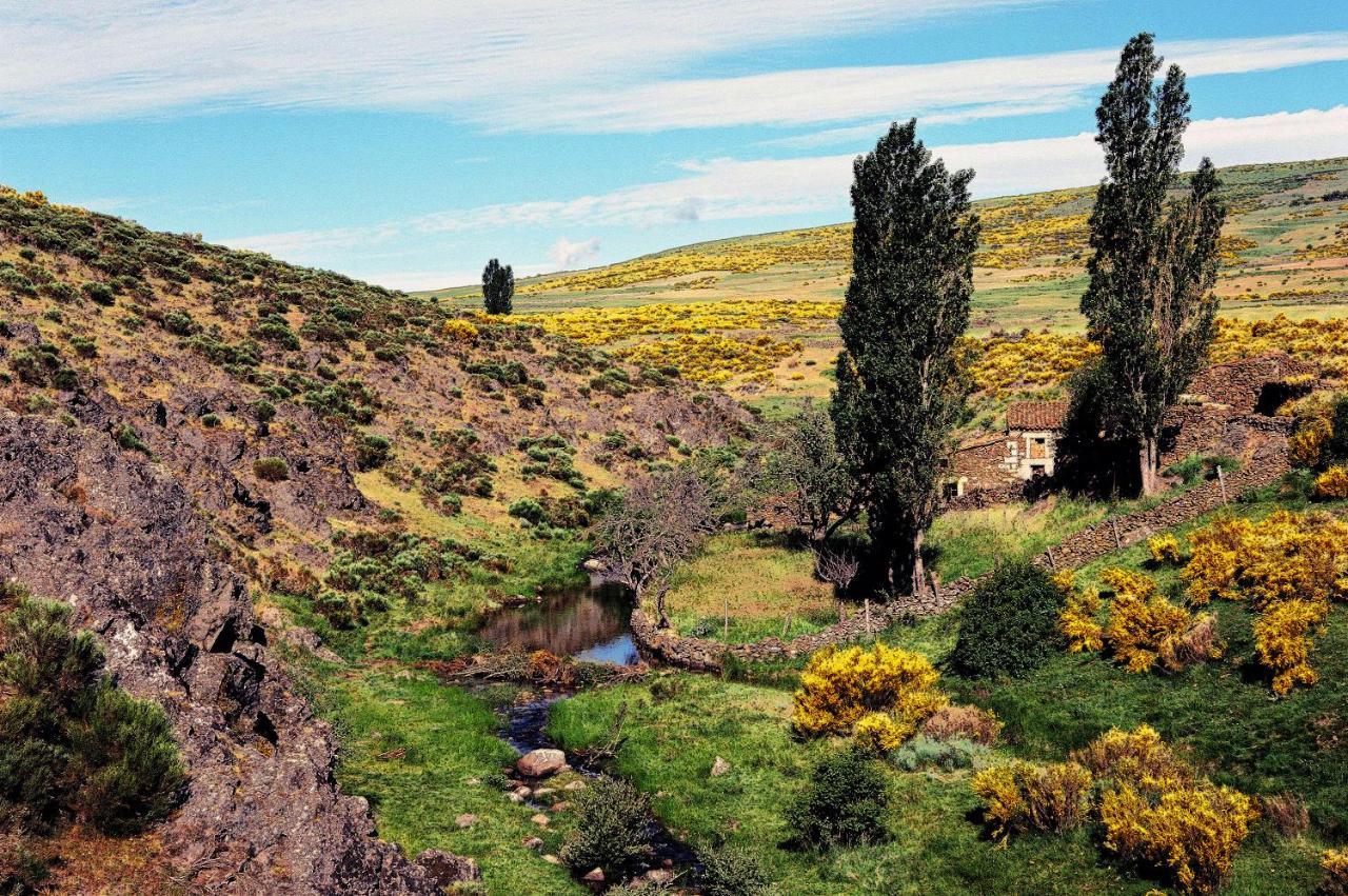 Casa Rural La Vereilla Barajas de Gredos Bagian luar foto